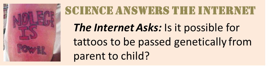 Science answers the internet!