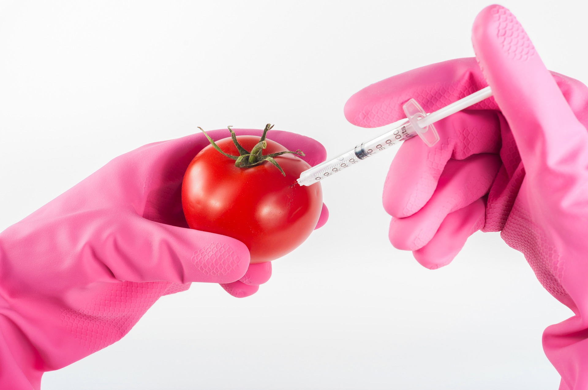 Let’s talk about Genetically Modified Food