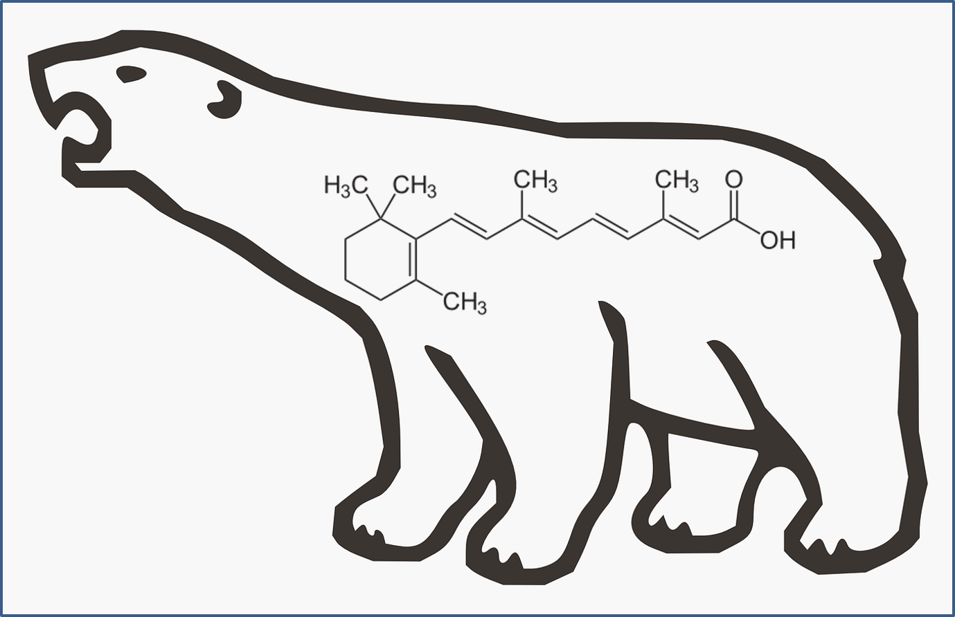 Chemicals in our Society: Vitamin A