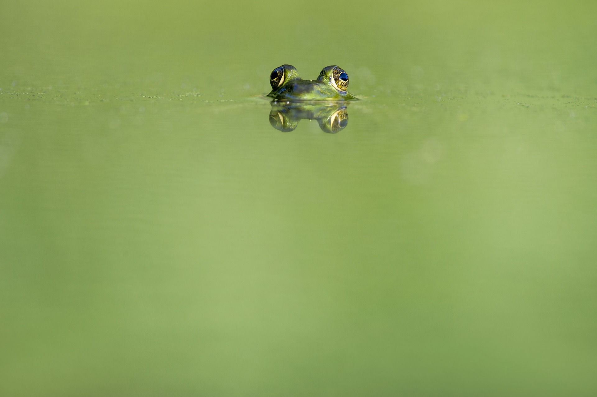 Bad Science on the Internet: Raw Water. Like Water, but Worse