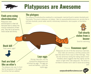 Platypuses are Awesome