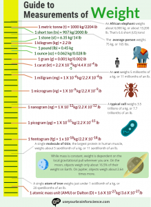 Units of weight infographiuc